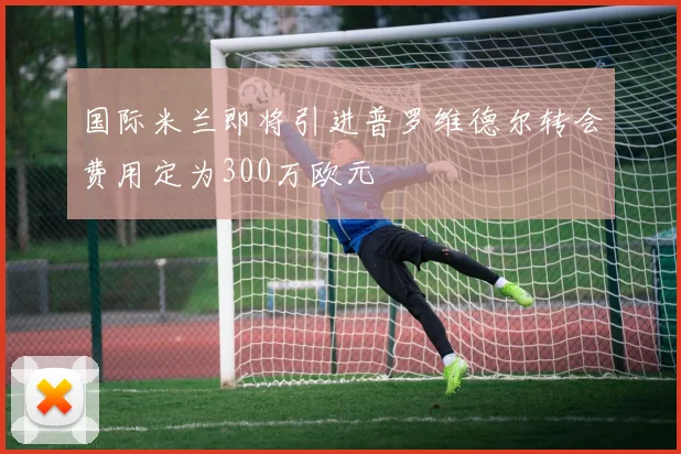 国际米兰即将引进普罗维德尔转会费用定为300万欧元