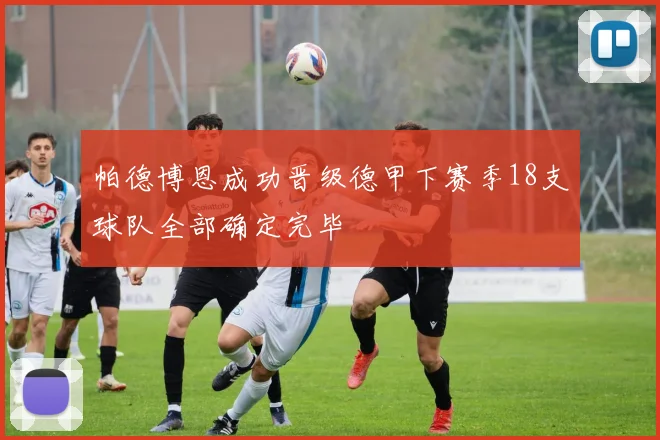 帕德博恩成功晋级德甲下赛季18支球队全部确定完毕